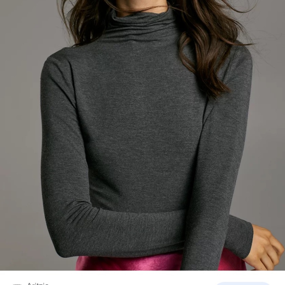 Aritzia Babaton Larry Turtleneck
